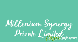 Millenium Synergy Private Limited bangalore india