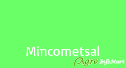 Mincometsal