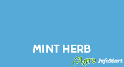 Mint Herb