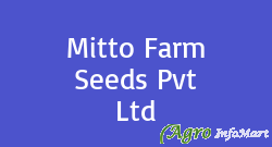 Mitto Farm Seeds Pvt Ltd
