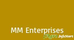 MM Enterprises delhi india