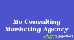 Mo Consulting Marketing Agency delhi india