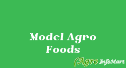 Model Agro Foods