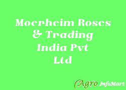Moerheim Roses & Trading India Pvt Ltd