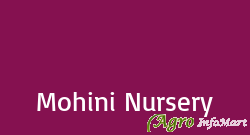 Mohini Nursery