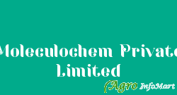 Moleculochem Private Limited ahmedabad india