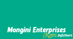 Mongini Enterprises pune india