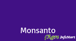 Monsanto hyderabad india