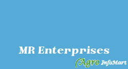 MR Enterprises jaipur india
