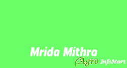 Mrida Mithra ghaziabad india