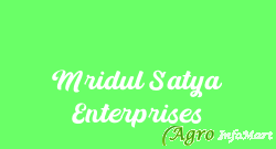 Mridul Satya Enterprises