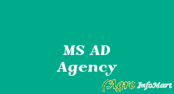 MS AD Agency