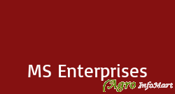 MS Enterprises pune india