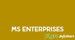 Ms Enterprises jaipur india