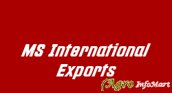 MS International Exports