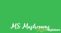 MS Mushrooms chennai india
