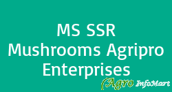 MS SSR Mushrooms Agripro Enterprises