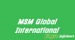 MSM Global International surat india