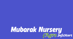 Mubarak Nursery saharanpur india