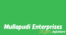 Mullapudi Enterprises
