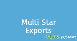 Multi Star Exports chennai india
