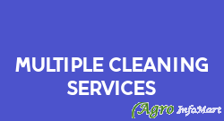 Multiple Cleaning Services pune india