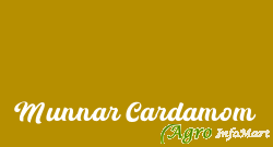 Munnar Cardamom