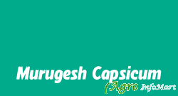 Murugesh Capsicum chittoor india