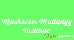 Mushroom Multiplyy Institute