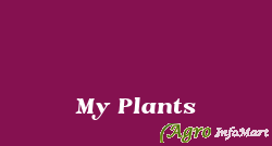 My Plants
