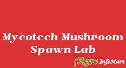Mycotech Mushroom Spawn Lab delhi india