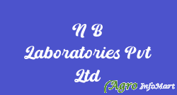 N B Laboratories Pvt Ltd nagpur india