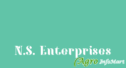 N.S. Enterprises
