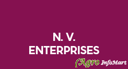 N. V. Enterprises
