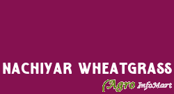 Nachiyar Wheatgrass chennai india