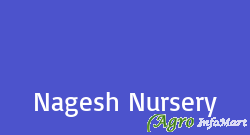 Nagesh Nursery