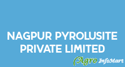 Nagpur Pyrolusite Private Limited nagpur india