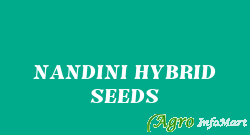 NANDINI HYBRID SEEDS hyderabad india