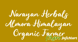 Narayan Herbals Almora Himalayan Organic Farmer