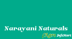Narayani Naturals