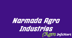 Narmada Agro Industries bharuch india