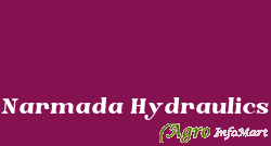 Narmada Hydraulics