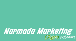 Narmada Marketing vadodara india