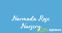 Narmada Rose Nursery