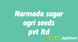 Narmada sagar agri seeds pvt ltd himatnagar india