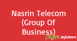 Nasrin Telecom (Group Of Business)