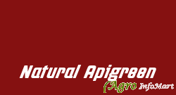 Natural Apigreen ahmedabad india