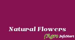 Natural Flowers kolkata india
