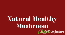 Natural Healthy Mushroom