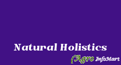 Natural Holistics bangalore india